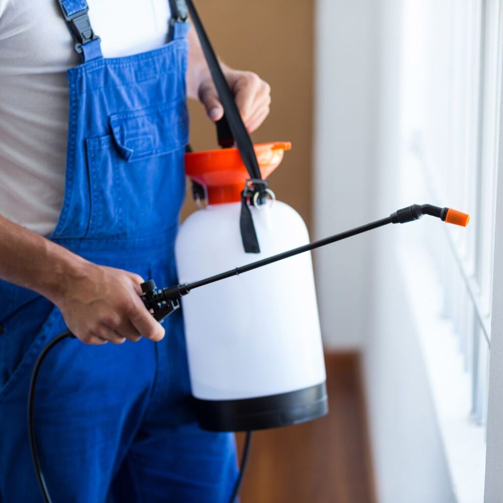 How Much Does Pest Control Cost in Chennai? A Pricing Guide